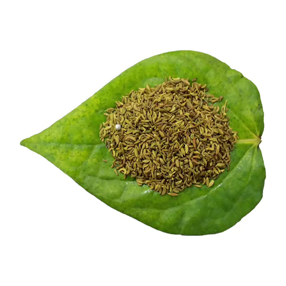 Saunf No. 101, 100g (Pack of 3)-1.webp